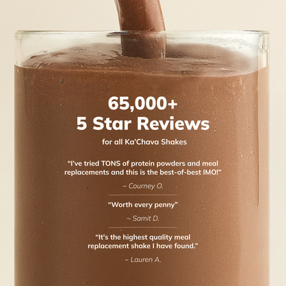 Whole Body Meal Shake Chocolate 2 lb – Vegan Protein Powder with 85+ Superfoods & Greens – Plant-Based Meal Replacement with Probiotics & Digestive Enzymes – Gluten & Dairy Free (15 Servings)